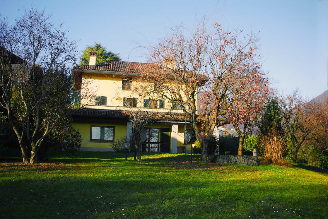 A peaceful Accra mansion garden at sunrise.