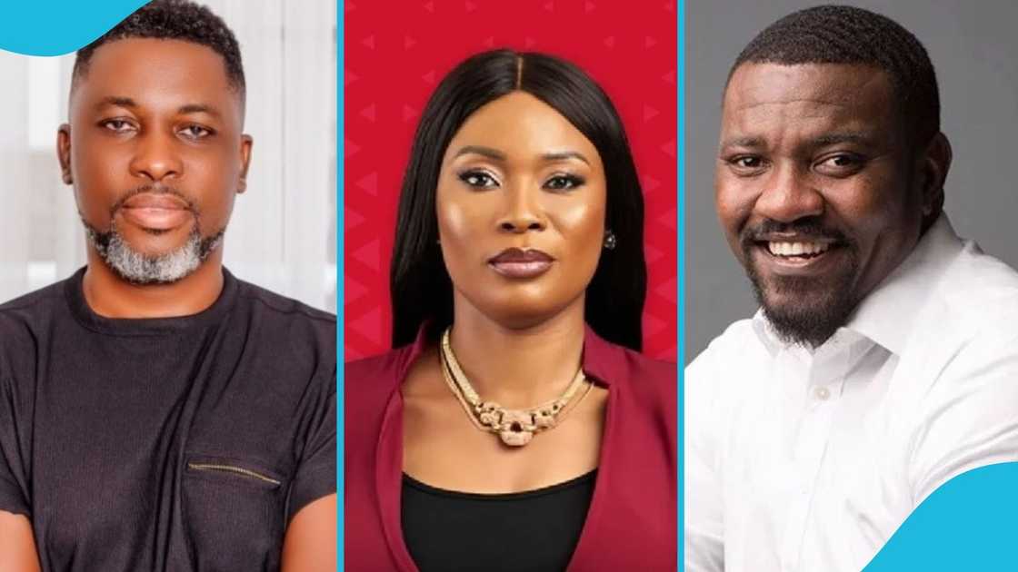 Celebrity MPs, Ghana's Next Parliament, NPP, NDC, Keche, John Dumelo, APlus