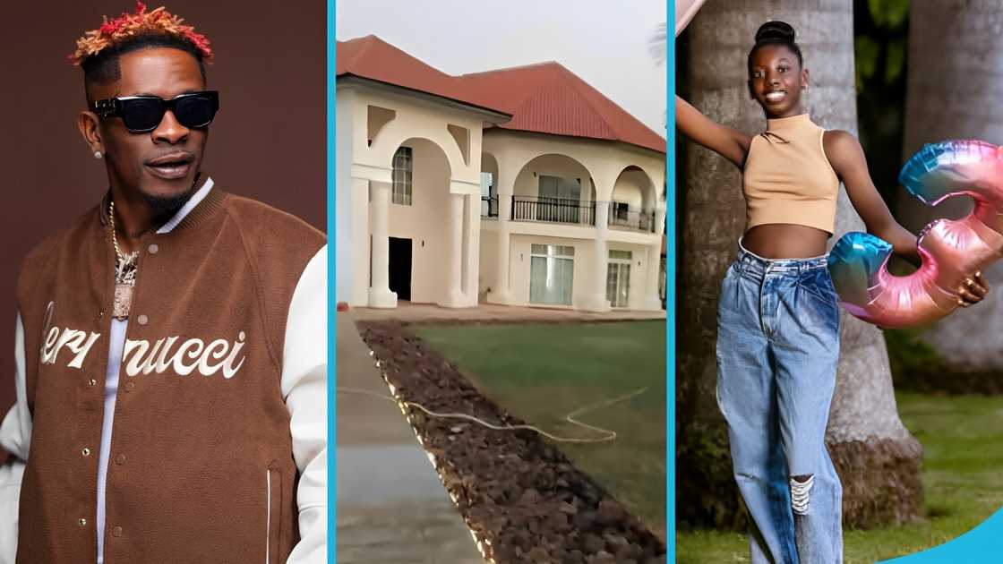 Shatta Wale, Shatta Wale's mansion, Shatta Wale's daughter, Shatta Wale's cars, Dancehall musician, Celebrity kids