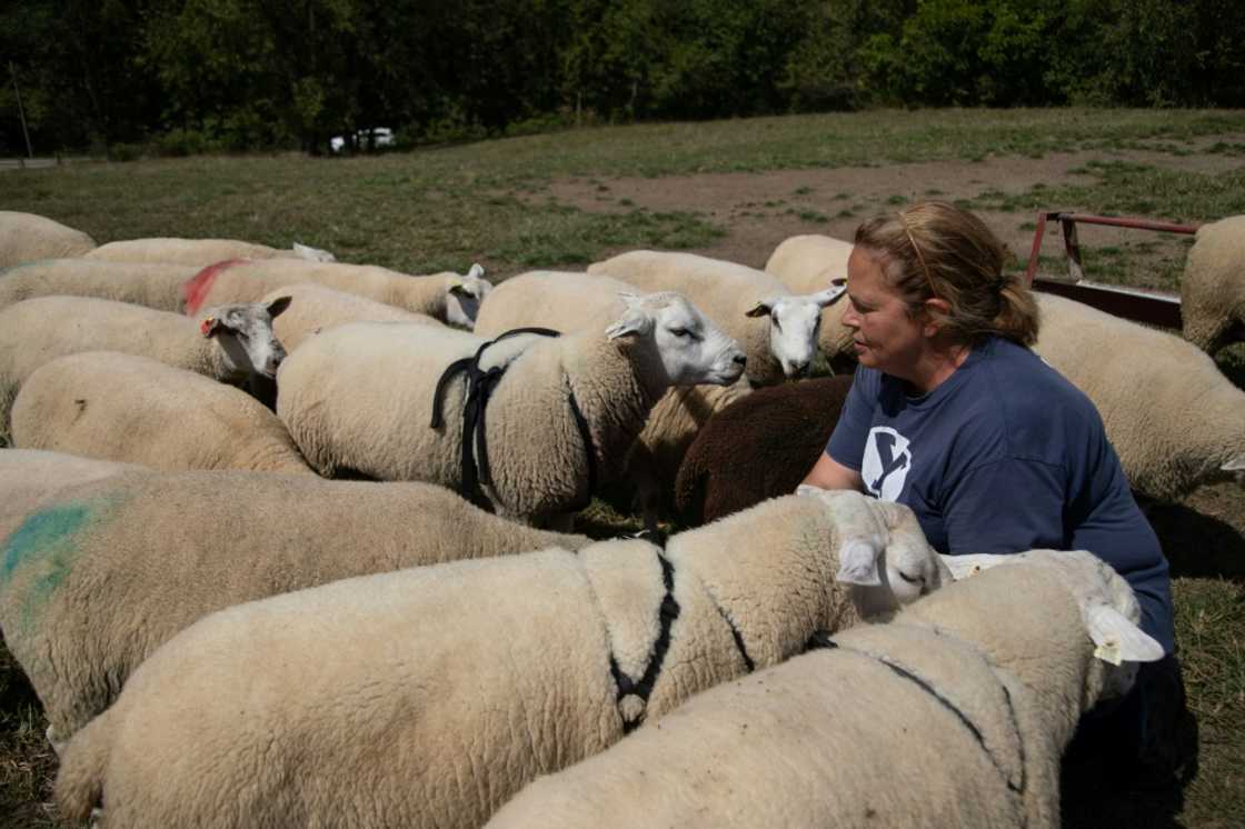 Diana Petrie greets sheep on the farm she runs with her father George Wherry, where a natural gas well site has helped support their family's 360-acre farm