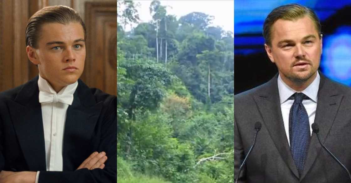 Leonardo DiCaprio: World-renowned actor calls on Ghana to save earth by keeping Atewa forest safe Leonardo DiCaprio: World-renowned actor calls on Ghana to save earth by keeping Atewa forest safe