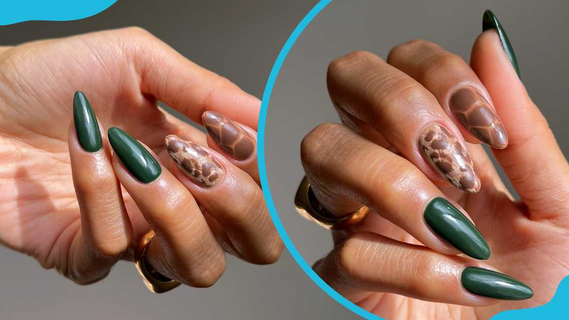 Wild elegance animal print theme Wild elegance animal print theme