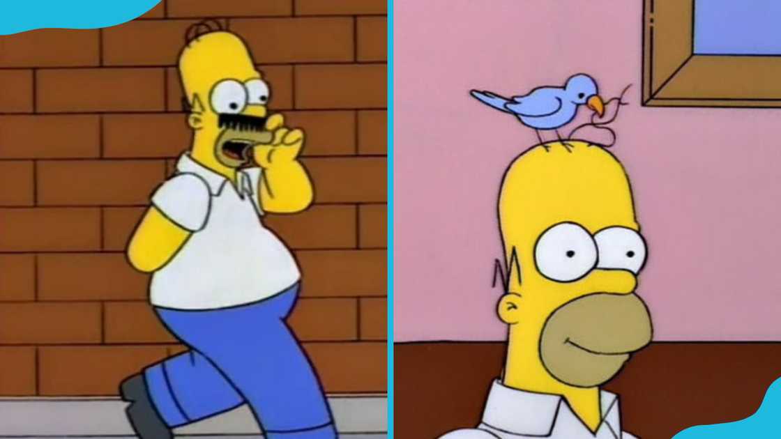 Homer Simpson Homer Simpson