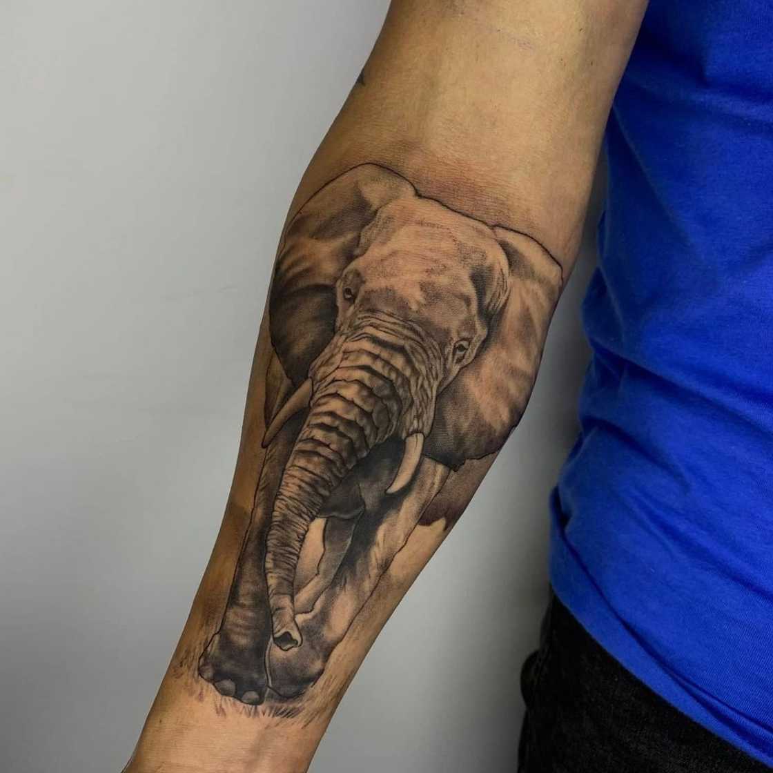 Elephant tattoo Elephant tattoo