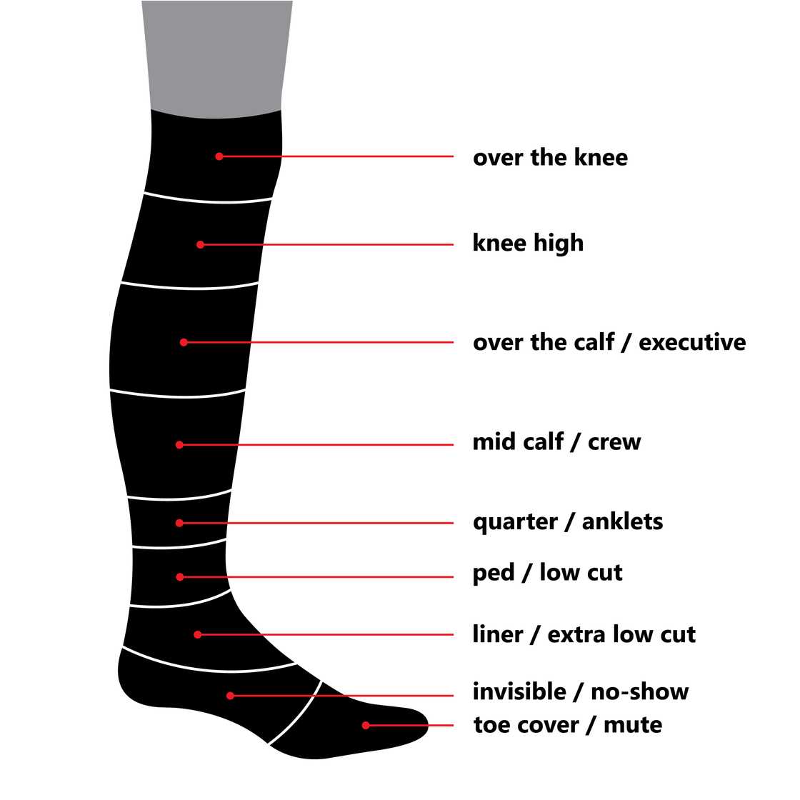 A leg displaying a sock-length chart A leg displaying a sock-length chart