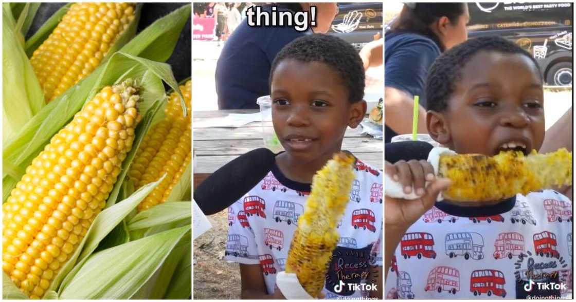 Tariq corn boy video, corn boy, viral corn boy video, latest on Tariq the corn boy