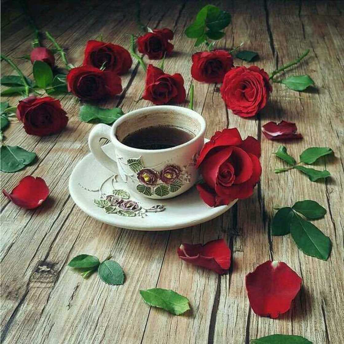 good morning coffee and rose good morning coffee and rose