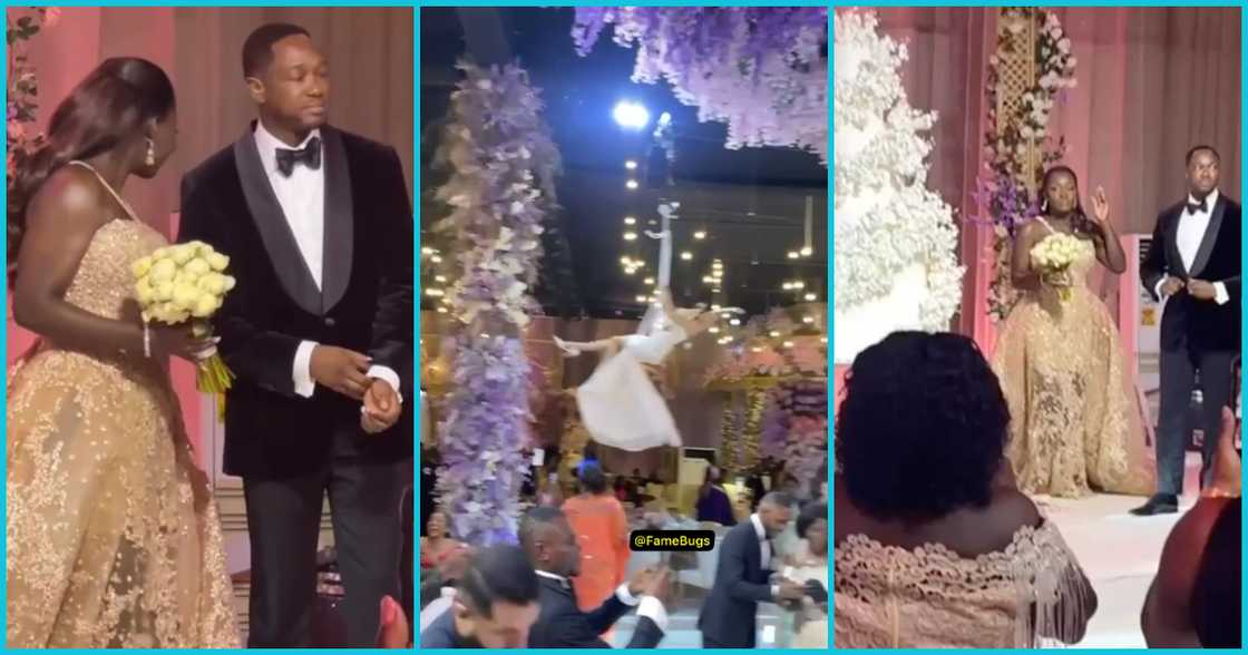 Ernest Chemist's daughter's wedding Ernest Chemist's daughter's wedding