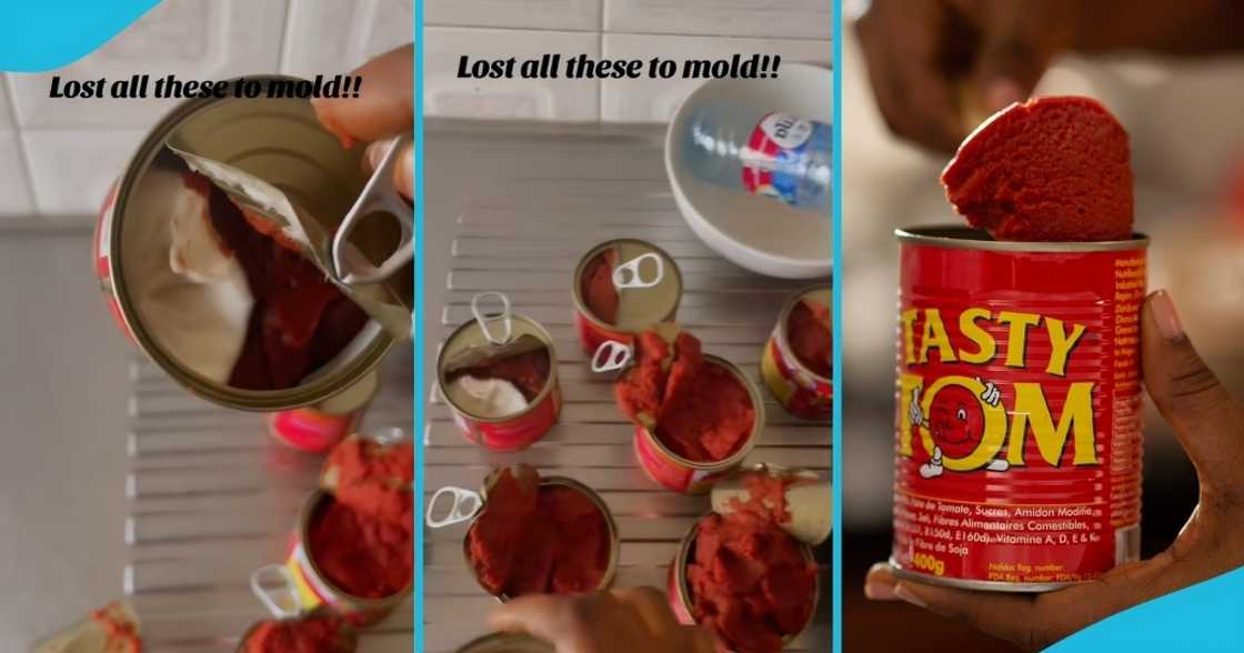 Tasty Tom. tomato paste, tinned tomato pastes, tiktoker, ghana, lady buys tinned tomato, tin tomato Tasty Tom. tomato paste, tinned tomato pastes, tiktoker, ghana, lady buys tinned tomato, tin tomato