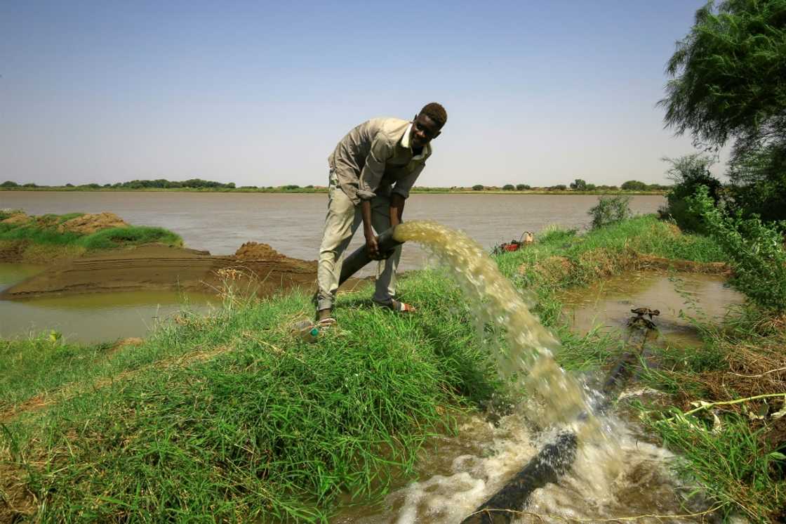 A farmer opens an irrigation pipe from the Nile in Sudan's Gezira state A farmer opens an irrigation pipe from the Nile in Sudan's Gezira state