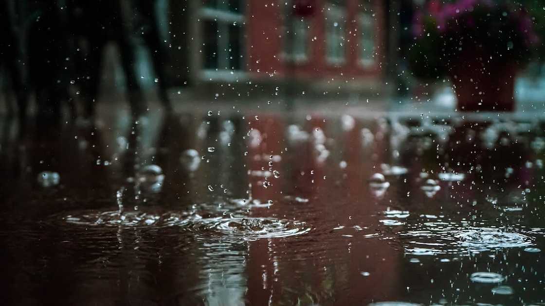 Raindrops splashing on a puddle during a heavy rainfall.