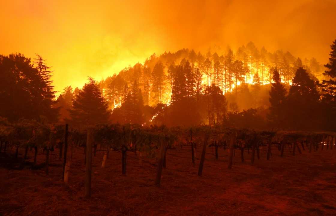 A forest fire burns through California's Napa Valley last May A forest fire burns through California's Napa Valley last May