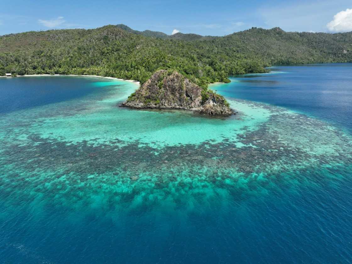 Indonesia's government revoked permits for four of the five nickel mining companies operating in the cluster of islands and shoals in southwest Papua province Indonesia's government revoked permits for four of the five nickel mining companies operating in the cluster of islands and shoals in southwest Papua province