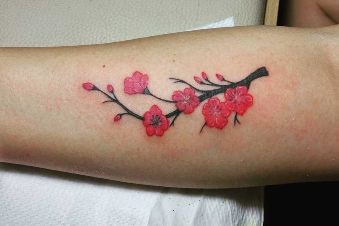 A lady's hand wih a cherry blossom flower tattoo