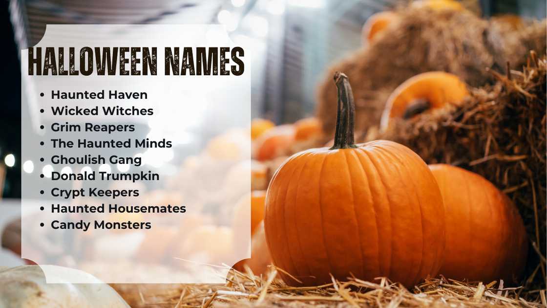 Funny trivia team names for Halloween