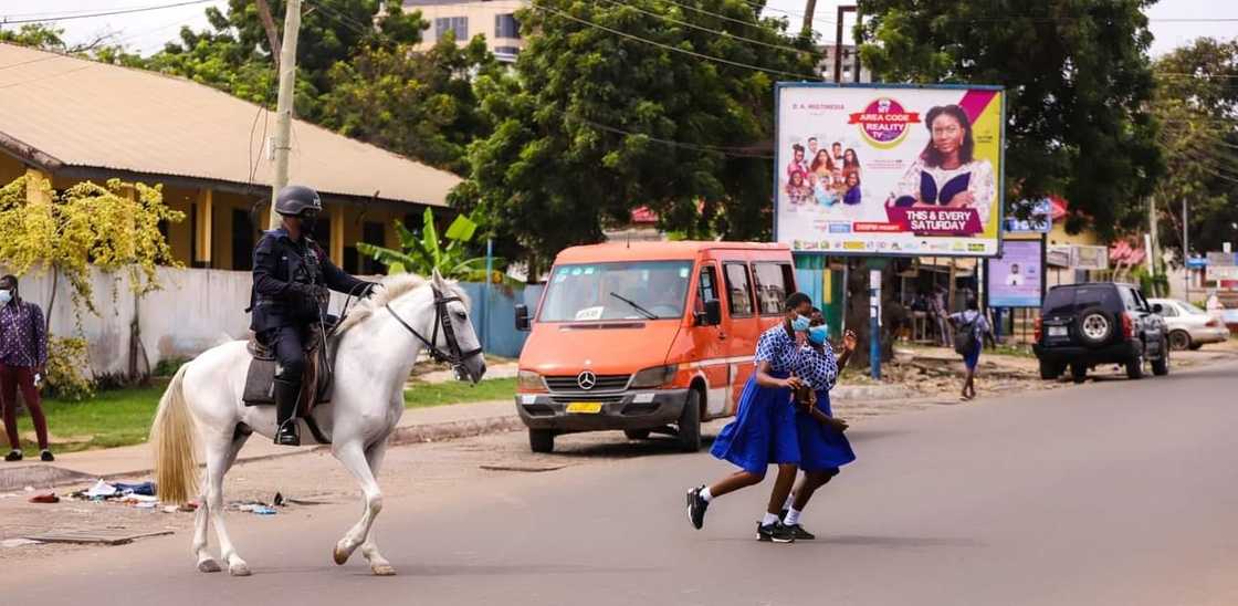 Ghana Police now uses trained horses for zebra-crossings; "but fix faulty traffic lights" - Ghanaians chide