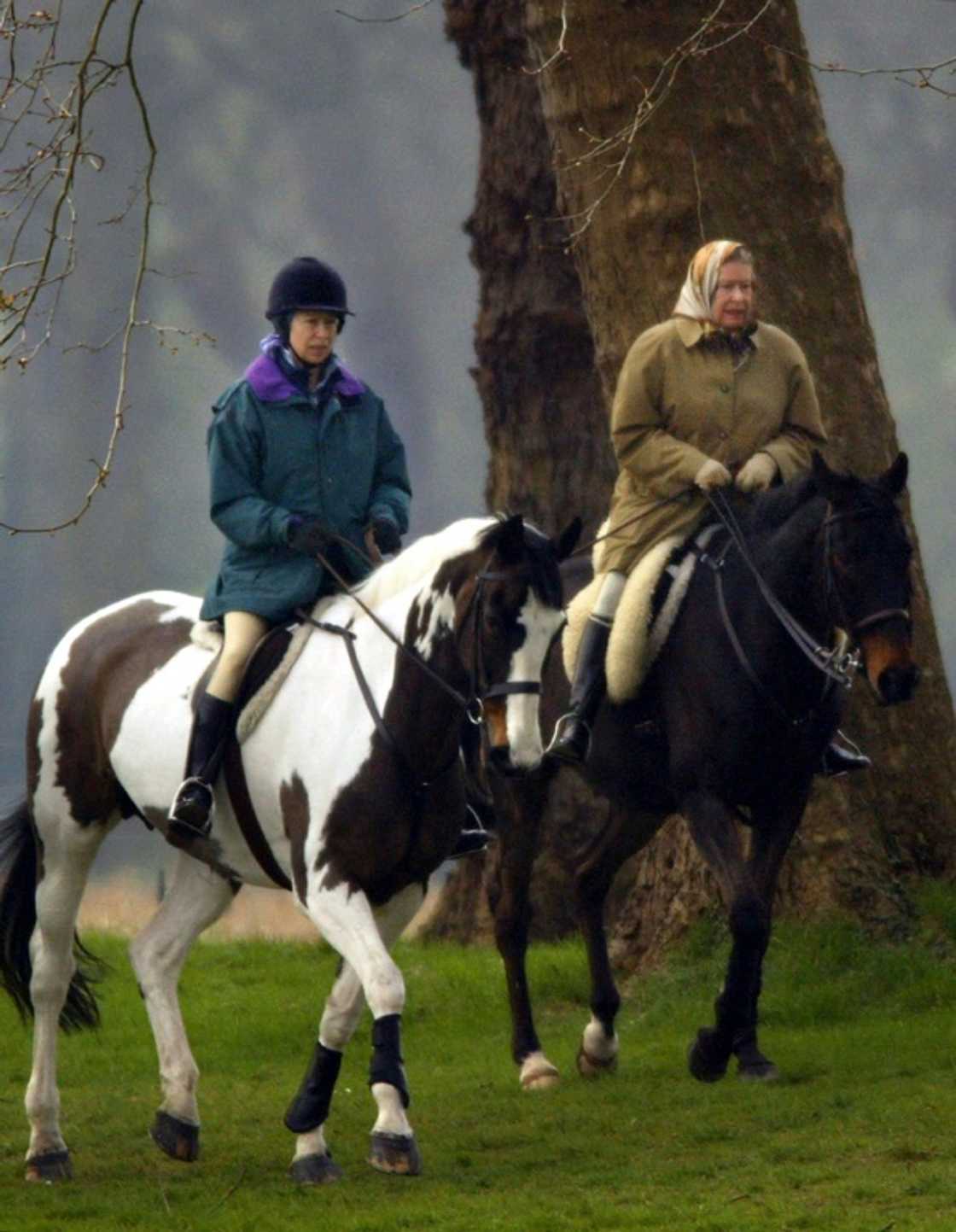 The queen and her daughter, Princess Anne, had a close relationship due to their mutual love of horses