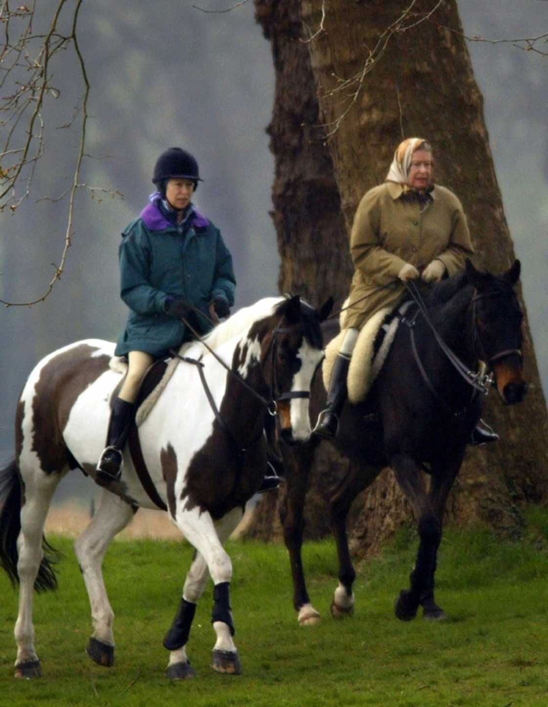 The queen and her daughter, Princess Anne, had a close relationship due to their mutual love of horses The queen and her daughter, Princess Anne, had a close relationship due to their mutual love of horses