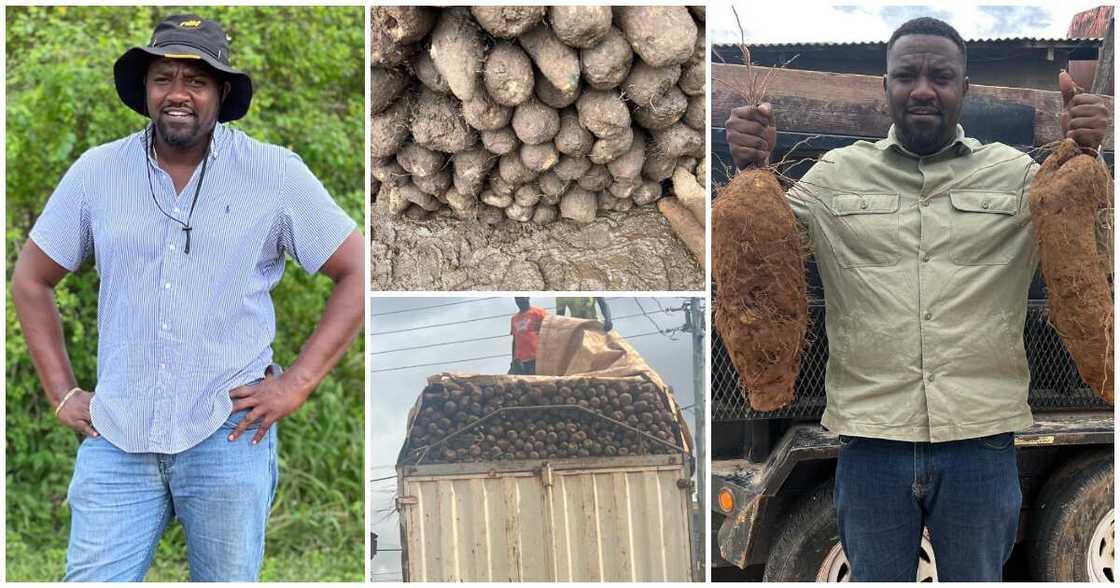 John Dumelo: Hardworking Actor and Farmer Records Bumper Harvest of Yam; Flaunts Full Truck In New Photos John Dumelo: Hardworking Actor and Farmer Records Bumper Harvest of Yam; Flaunts Full Truck In New Photos