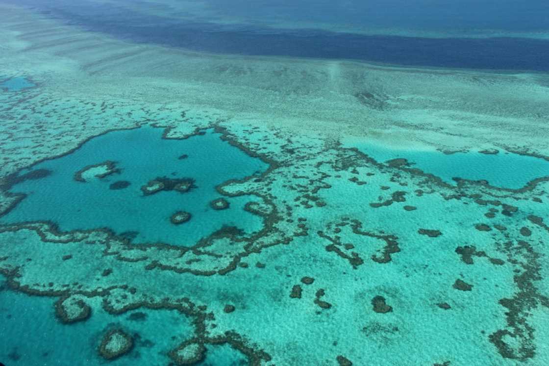 Australia's Great Barrier Reef is significantly impacted by climate change factors, according to experts.