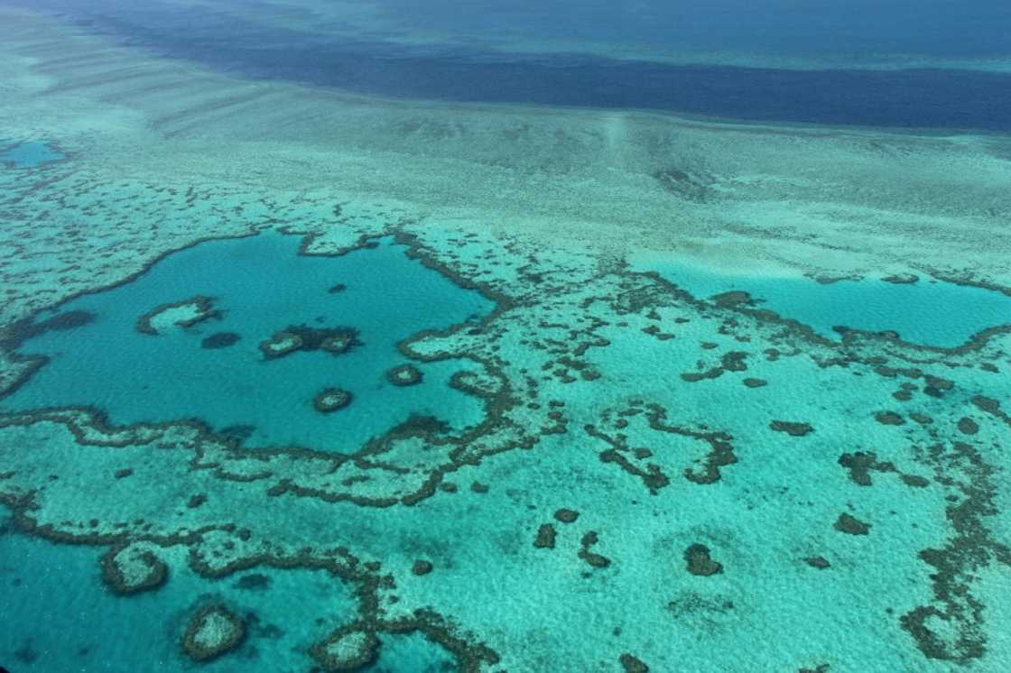 Australia's Great Barrier Reef is significantly impacted by climate change factors, according to experts. Australia's Great Barrier Reef is significantly impacted by climate change factors, according to experts.