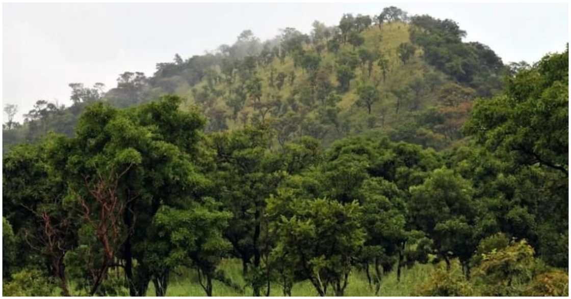 Mount Atiwiredu Mount Atiwiredu