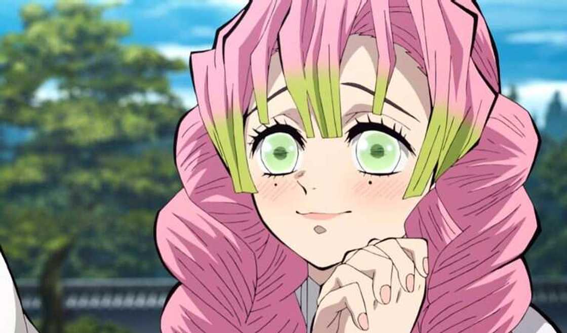 Demon Slayer characters Demon Slayer characters