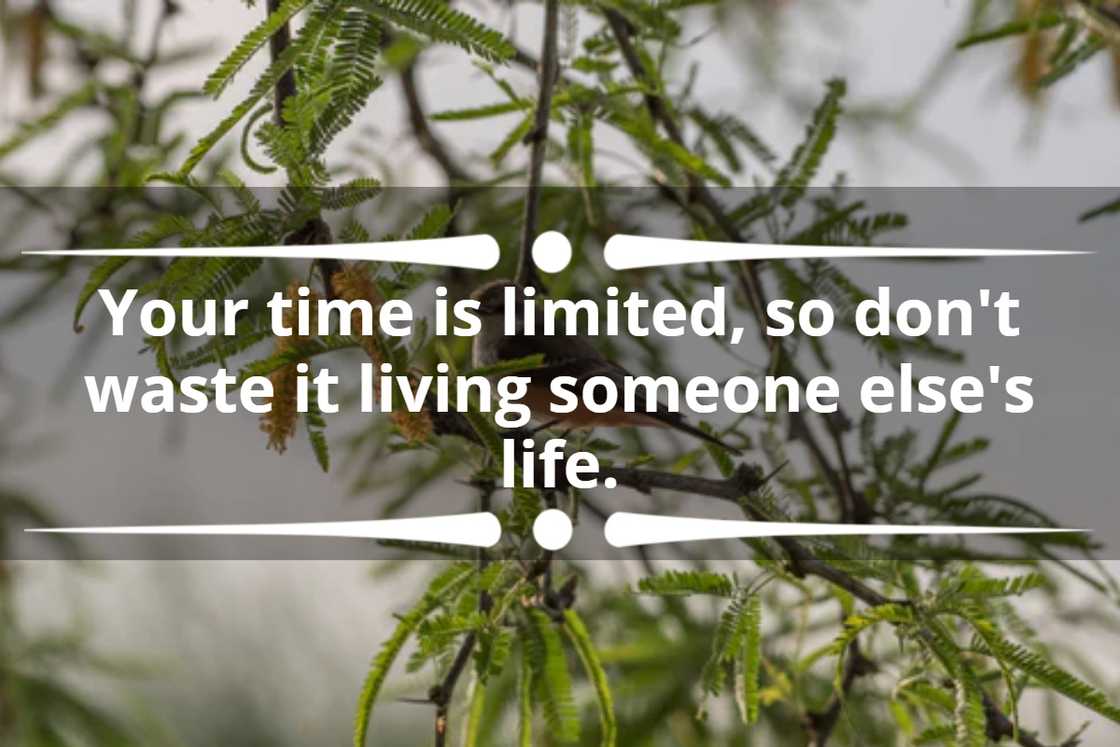 life is short quotes life is short quotes