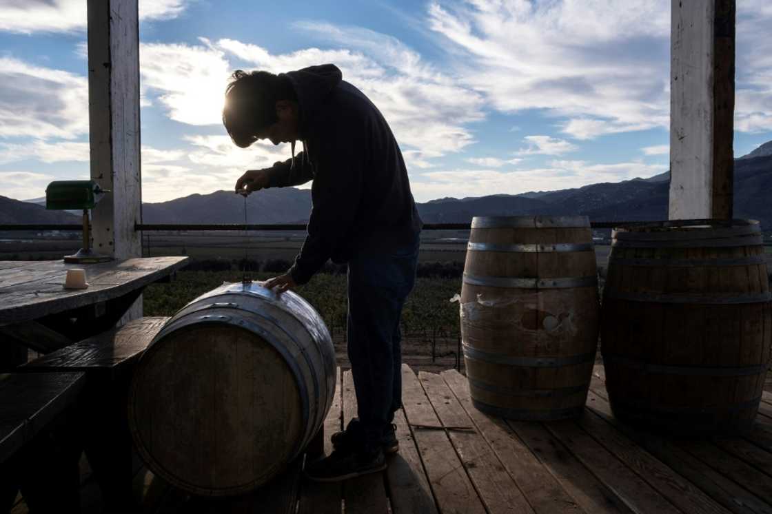 Jorge Osiel Lopez prepares wine barrels at the Anatolia winery in Mexico's Guadalupe Valley Jorge Osiel Lopez prepares wine barrels at the Anatolia winery in Mexico's Guadalupe Valley