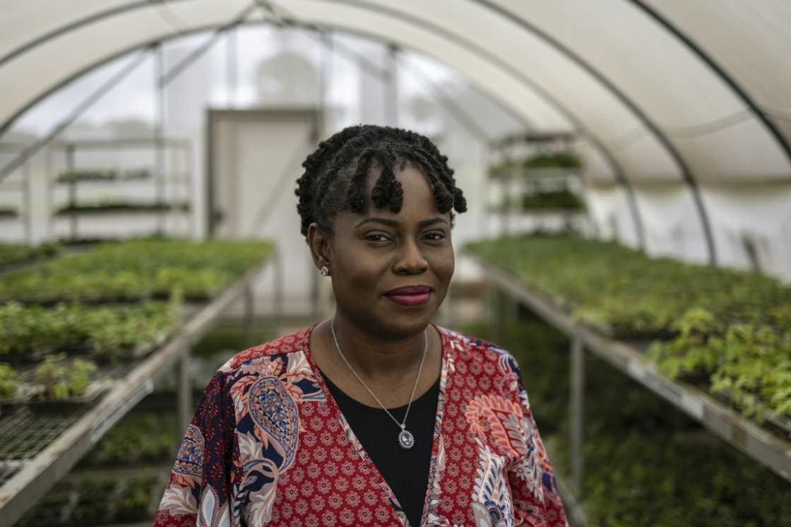 Nigerian agronomist Mercy Diebiru-Ojo has big plans for her country's agricultural production Nigerian agronomist Mercy Diebiru-Ojo has big plans for her country's agricultural production