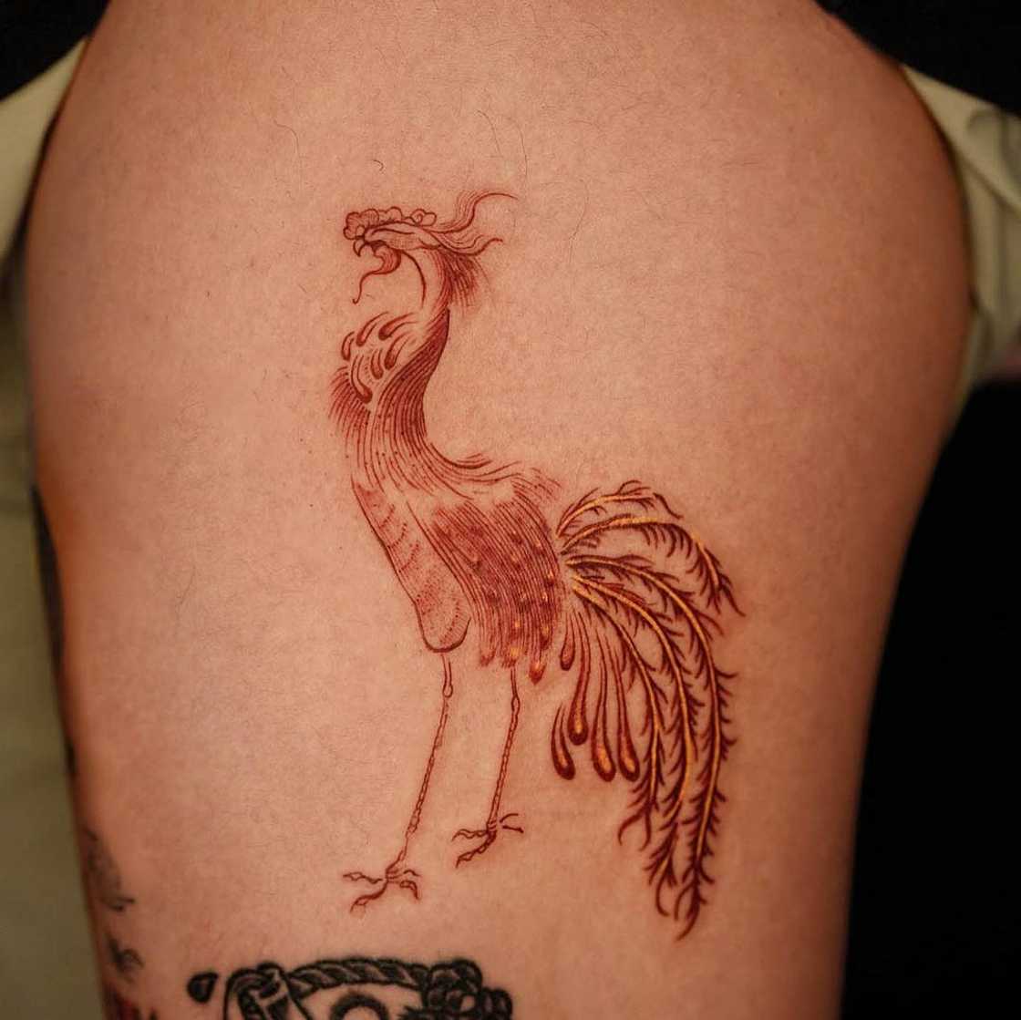 phoenix tattoo