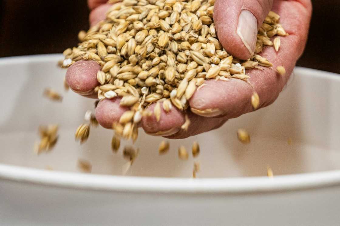 A trade group estimates most US craft brewers use malt containing some portion of imports A trade group estimates most US craft brewers use malt containing some portion of imports