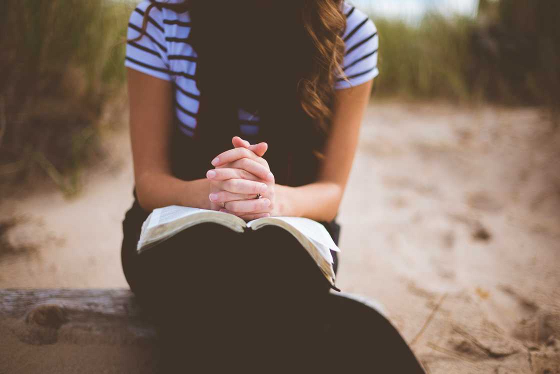 A woman is sitting on a log reading the Bible. A woman is sitting on a log reading the Bible.
