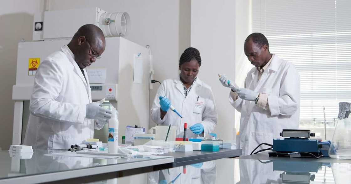 Monkey Pox, Africa, DRC, WHO Monkey Pox, Africa, DRC, WHO