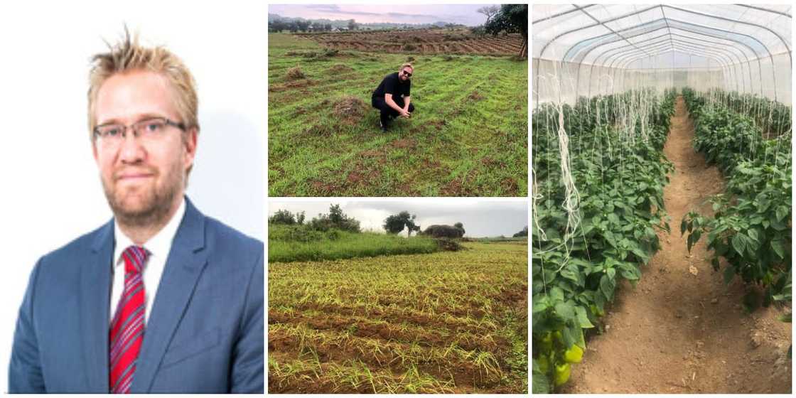 Oyinbo man causes stir as he announces becoming a farmer in Nigeria, shares photos of his farmlands Oyinbo man causes stir as he announces becoming a farmer in Nigeria, shares photos of his farmlands