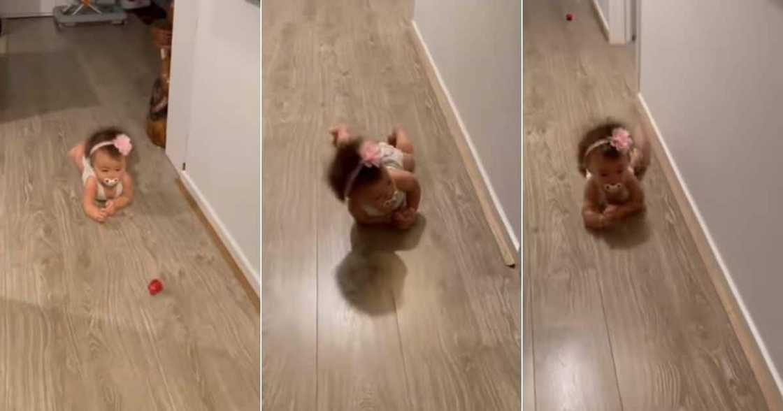 Baby Leopard Crawling, Mzansi, South Africa Baby Leopard Crawling, Mzansi, South Africa