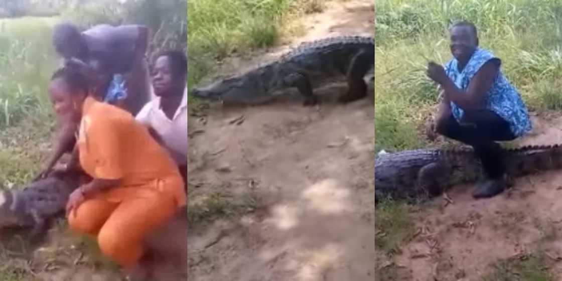 Local assembly gives update on injury of crocodile attack victim in Volta Region Local assembly gives update on injury of crocodile attack victim in Volta Region