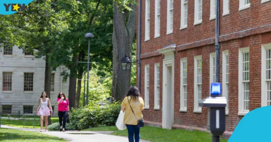 British lady, gains admission, Harvard University, Ivy League school, postgraduate programme, Ghanaian parents. British lady, gains admission, Harvard University, Ivy League school, postgraduate programme, Ghanaian parents.