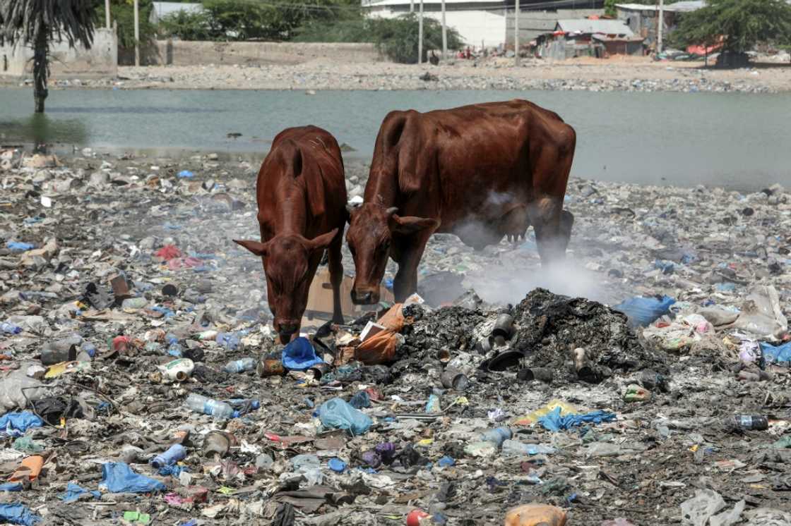 In 2019, the world produced around 460 million tonnes of plastic, a figure that has doubled since 2000, according to the OECD In 2019, the world produced around 460 million tonnes of plastic, a figure that has doubled since 2000, according to the OECD