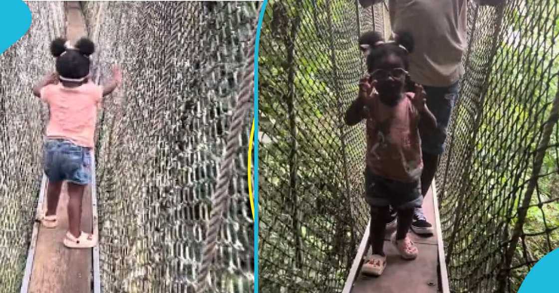 Video of little girl on canopy walkway Video of little girl on canopy walkway