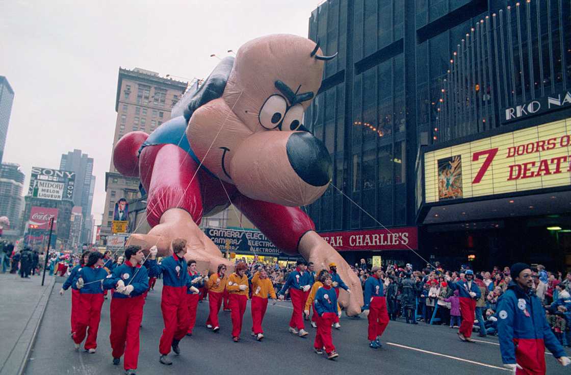 Dog cartoon character Dog cartoon character