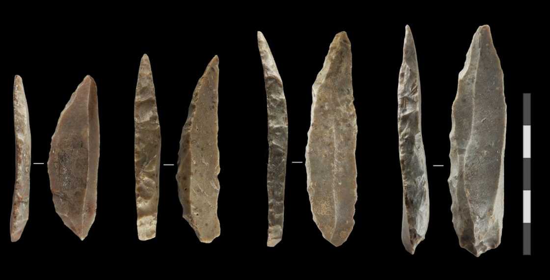Distinctive stone knives believed to have been made by some of the last Neanderthals in France and northern Spain Distinctive stone knives believed to have been made by some of the last Neanderthals in France and northern Spain
