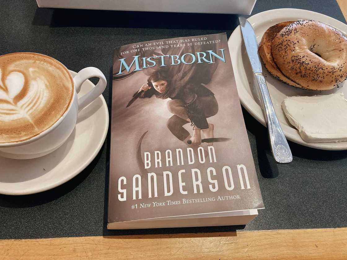 fantasy book series fantasy book series