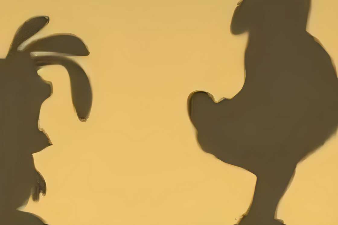 A shadow of Principal Fetchit A shadow of Principal Fetchit