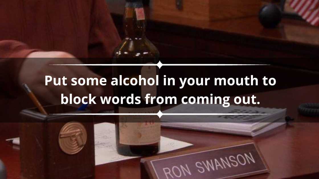 Ron Swanson quotes