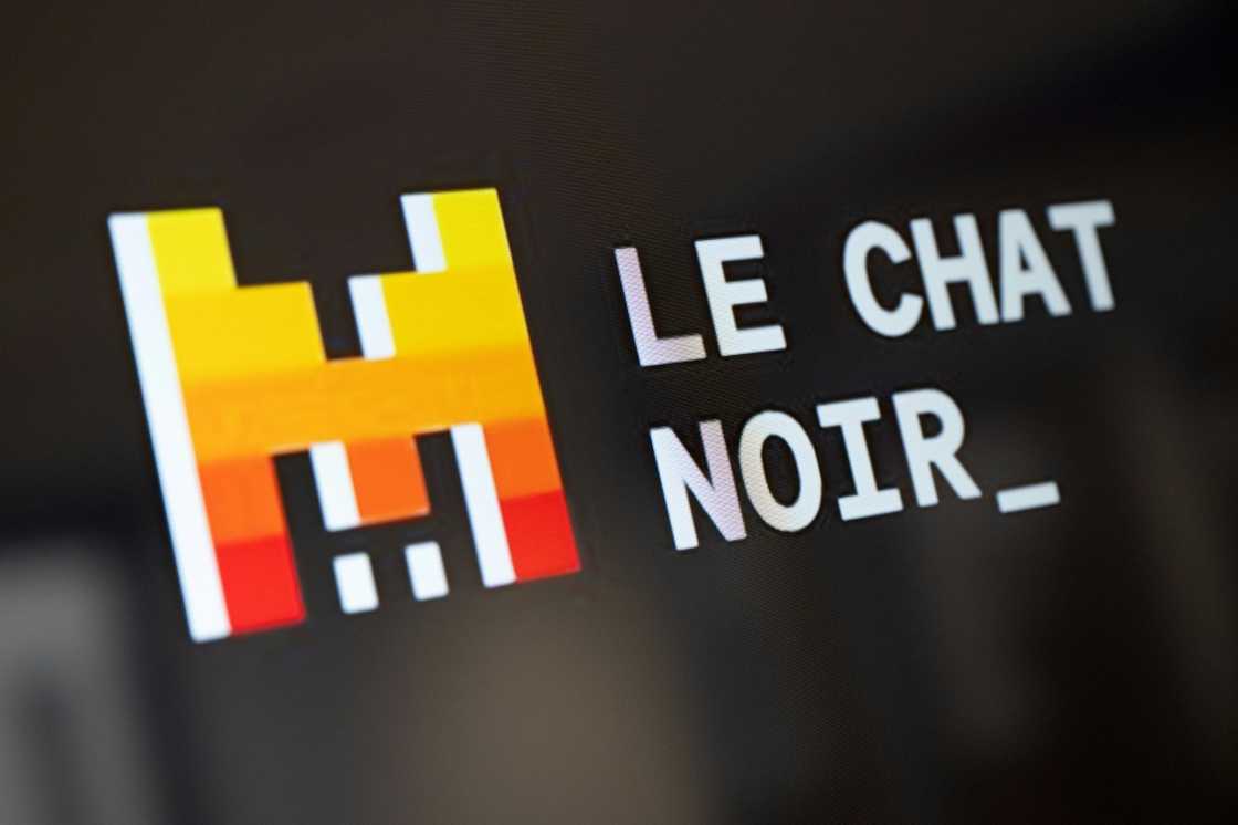 Mistral is one of Europe's leading AI firms