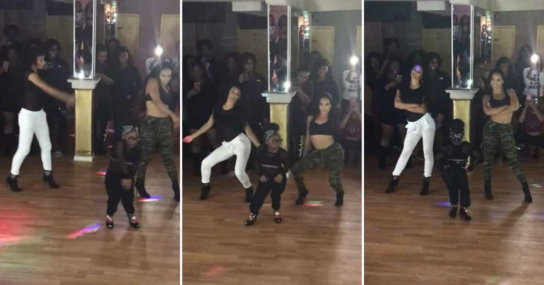 Dance, Entertainement, Mzansi, Video of Short Lady, Fire Dance Moves, High Heels, Goes Viral Dance, Entertainement, Mzansi, Video of Short Lady, Fire Dance Moves, High Heels, Goes Viral