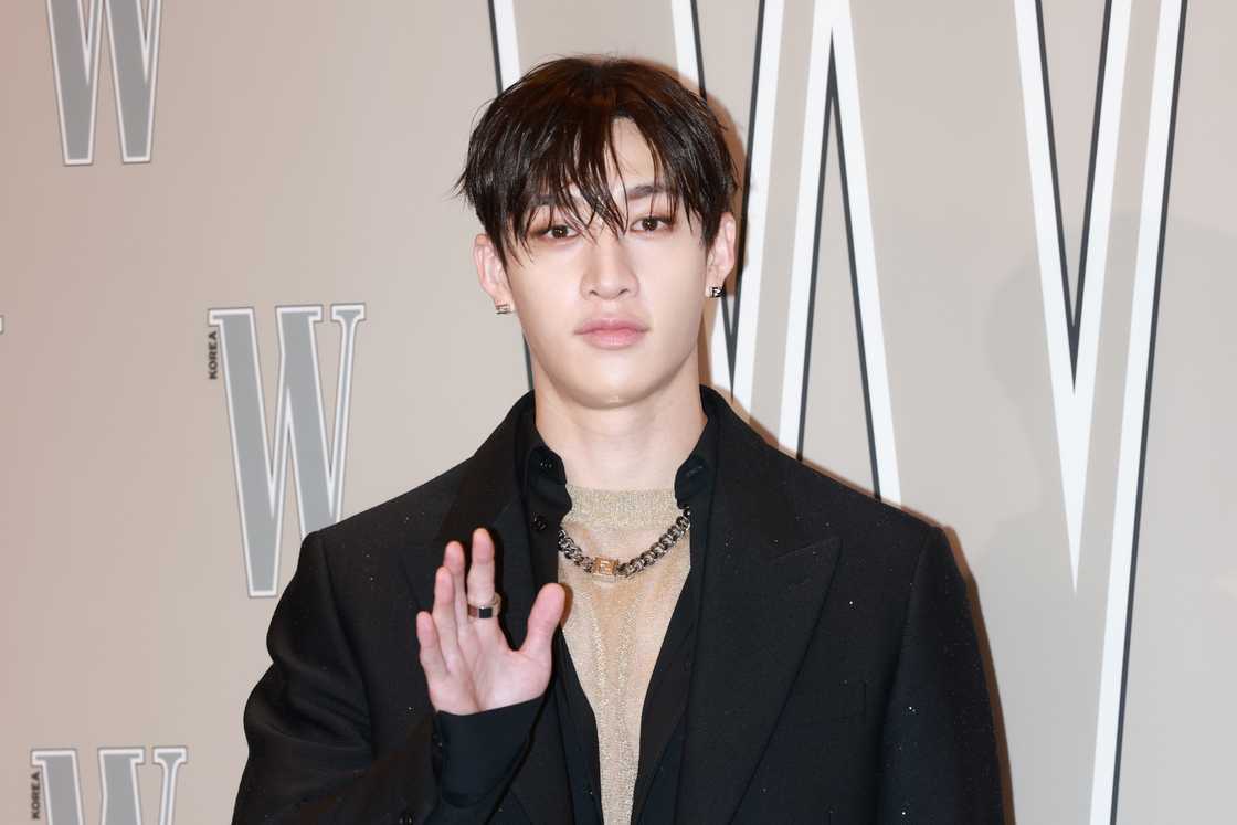 Bang Chan of Stray Kids attends W Korea's 19th Cancer Awareness Campaign 'Love Your W' Bang Chan of Stray Kids attends W Korea's 19th Cancer Awareness Campaign 'Love Your W'