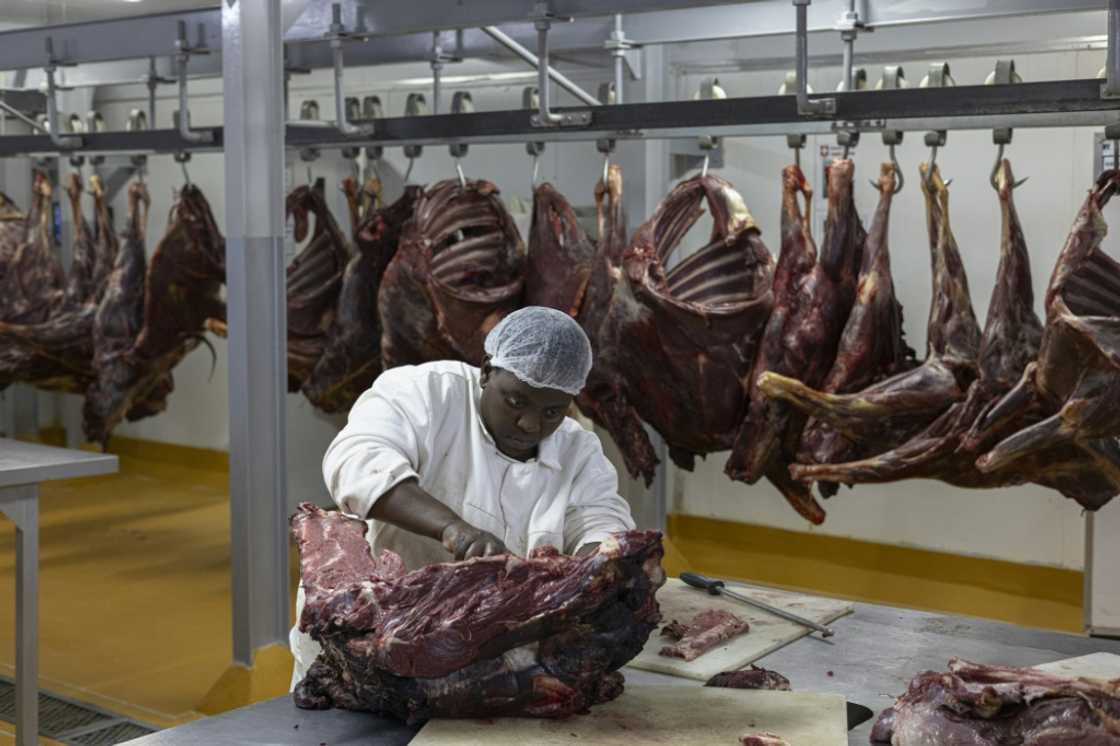 South Africa currently produces around 60,000 tonnes of game meat a year South Africa currently produces around 60,000 tonnes of game meat a year