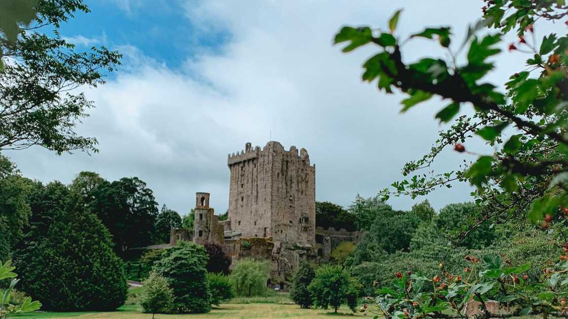 Blarney Castle in Ireland Blarney Castle in Ireland